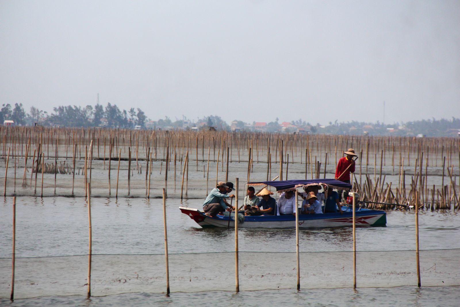 Phát triển bền vững phá Tam Giang