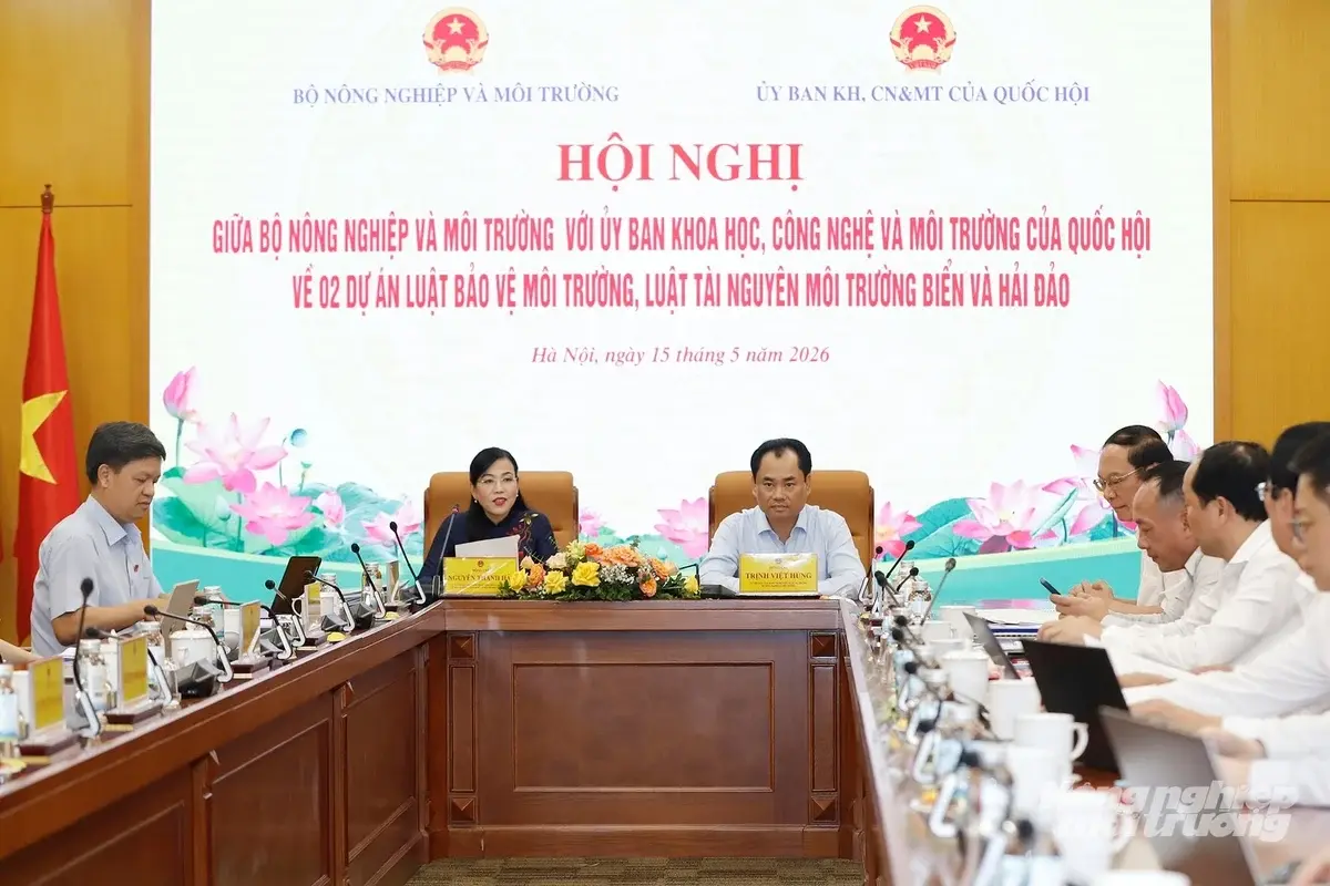 baonnmt_hoinghi-070401_898-070403-072343_1789115961.webp