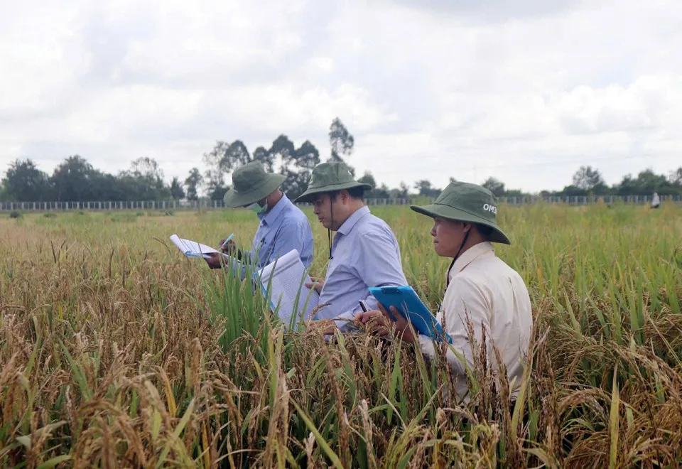 Gánh trên vai hàng chục nghìn nguồn gen - TS. Phạm Hùng Cương nói về khó khăn, kỳ vọng và hướng đột phá
