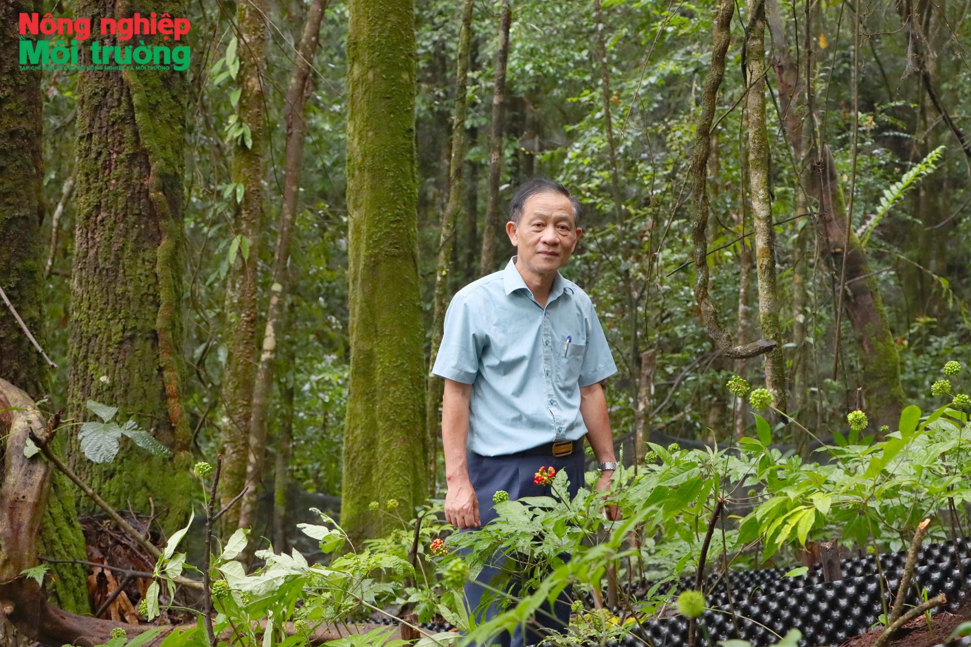 4-1_1783865133.jpg