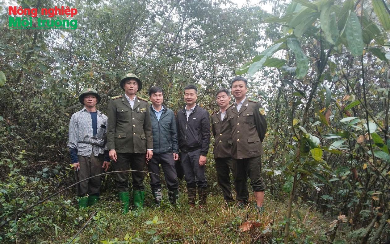 Phú Thọ: Từ những cánh rừng bình yên đến khát vọng phát triển lâm nghiệp bền vững