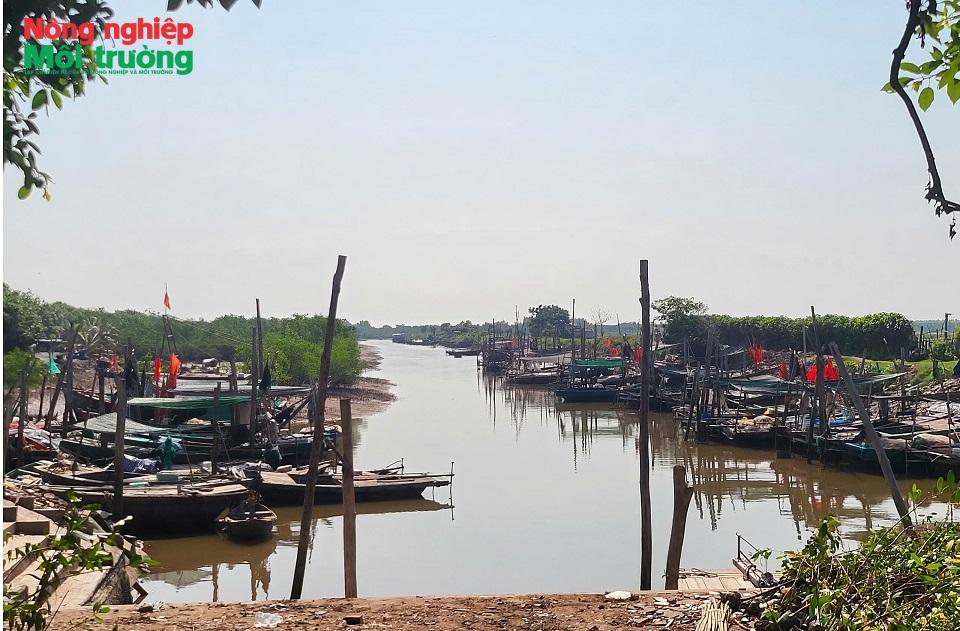 cang_1786549588.jpg
