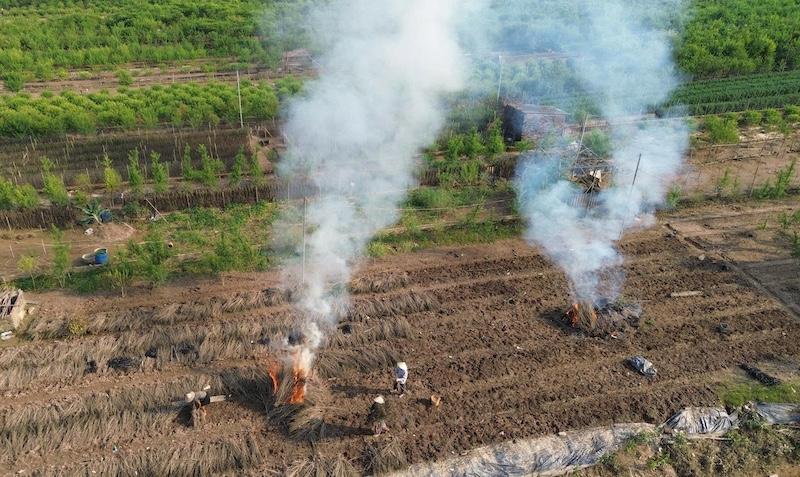 Ám ảnh vệt khói trắng ở “vựa” đào, cúc họa mi Nhật Tân