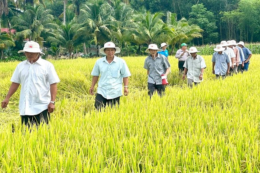 Nông nghiệp miền Duyên hải Nam Trung Bộ - Tây Nguyên 2025: Sự bứt phá trong khó khăn và nền móng cho chuyển đổi xanh