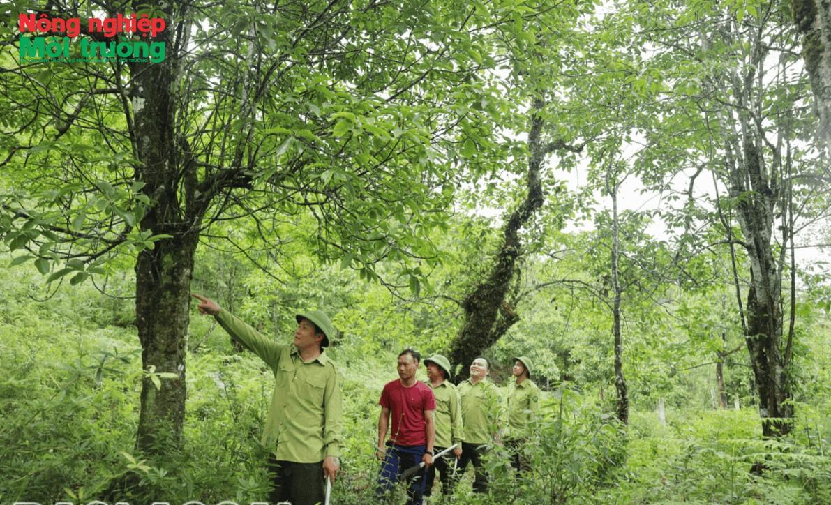 Bài 29: Lào Cai - Giữ rừng trên dải biên cương