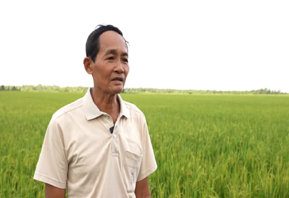 Từ rơm rạ thành “dinh dưỡng”: Mô hình vi sinh giảm phân, giảm thuốc trên đồng lúa