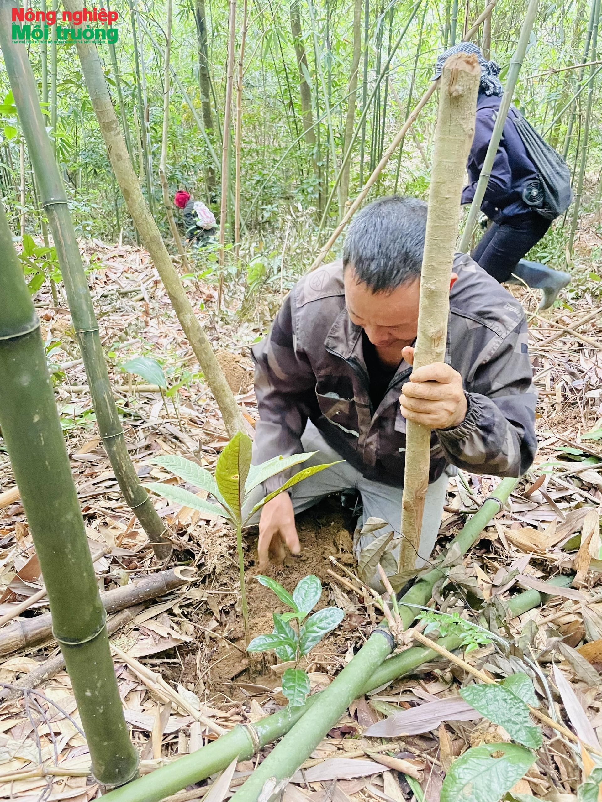anh-3--trong-khoi-tia-1_1778625134.jpg