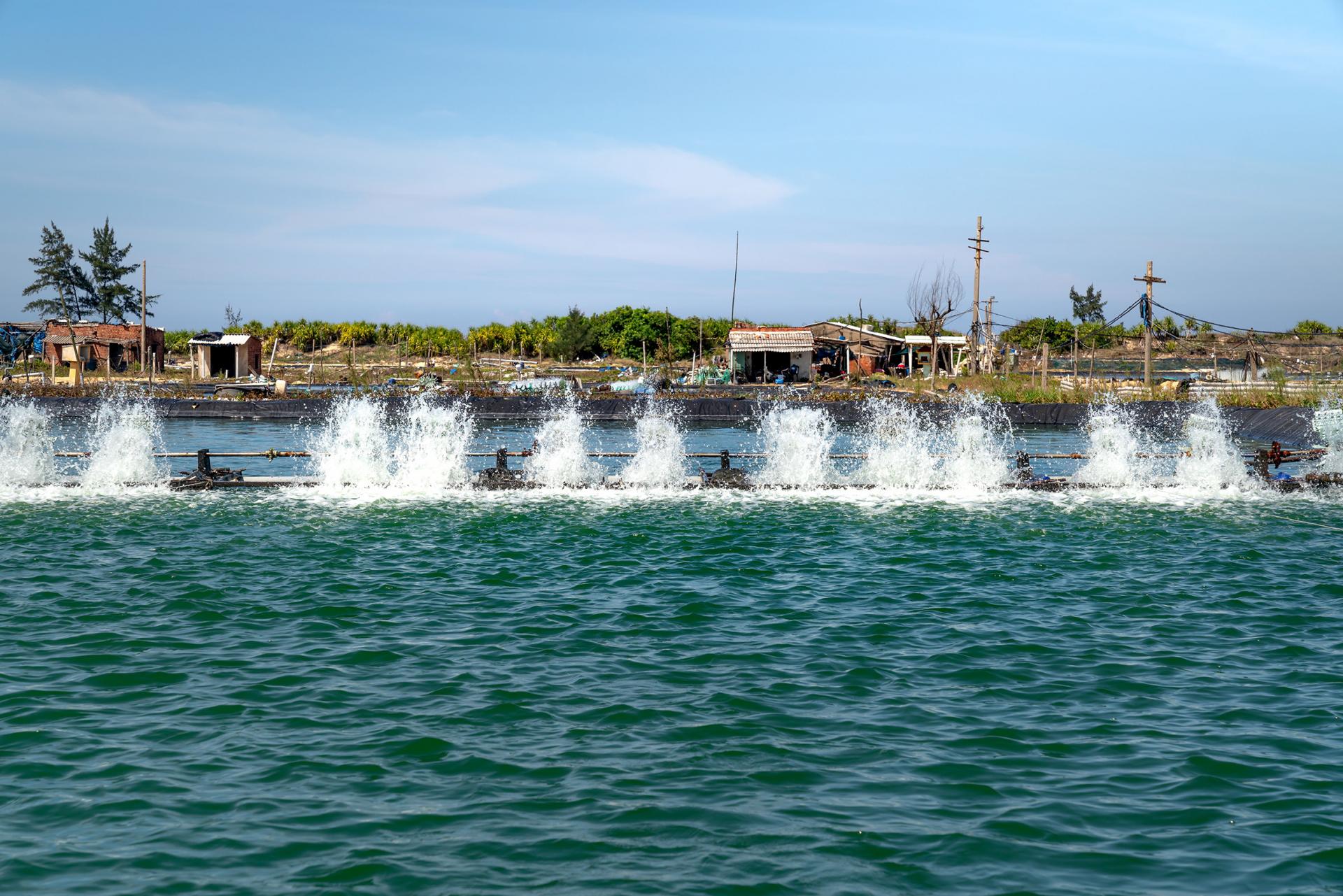nb-2_1789315639.jpg