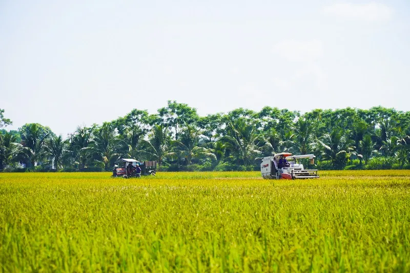 Thanh Hóa hiện thực hóa Nghị quyết 57 trong lĩnh vực nông nghiệp và môi trường