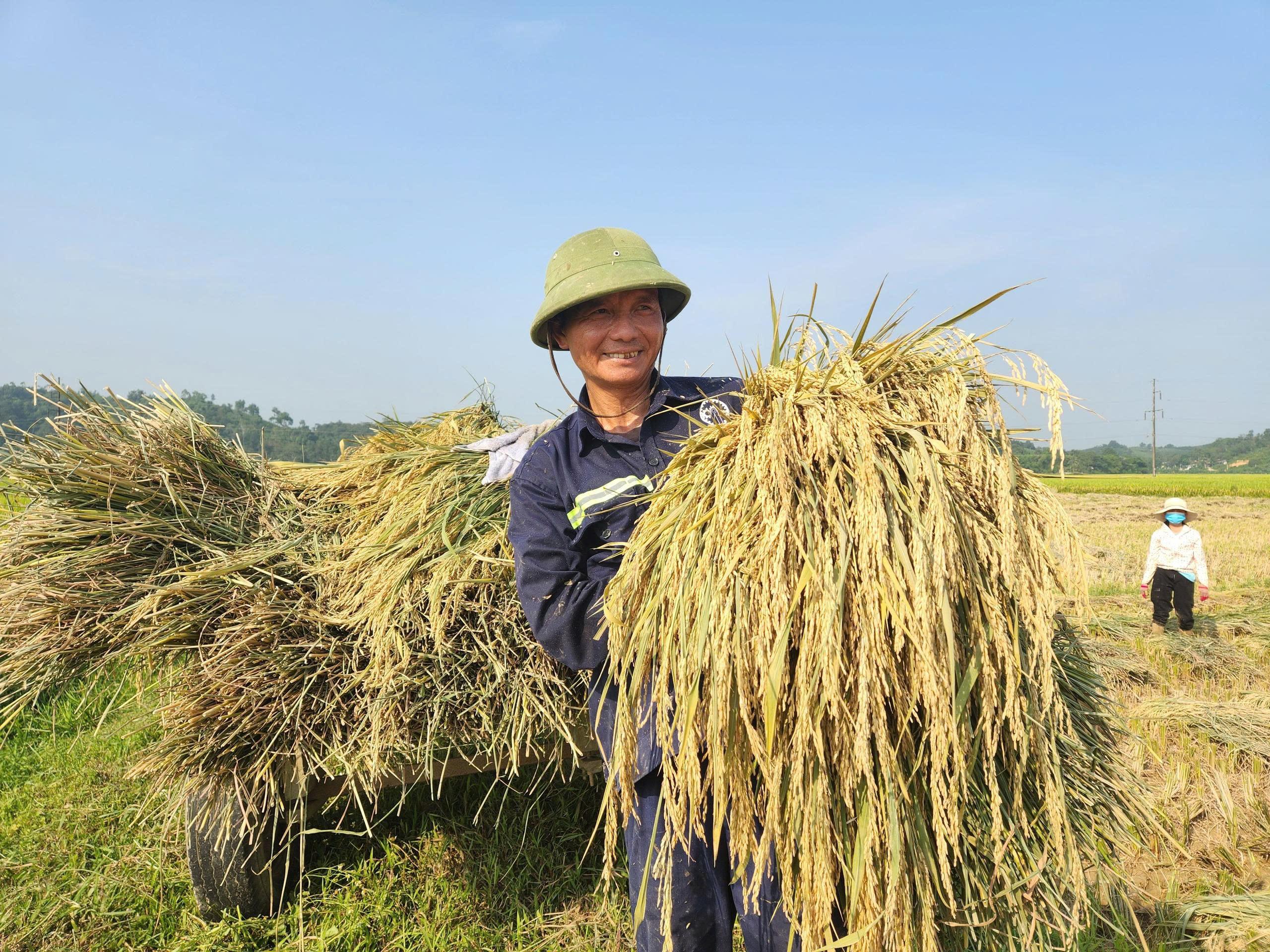 Nghệ An: Nỗ lực giảm phát thải trong ngành nông nghiệp