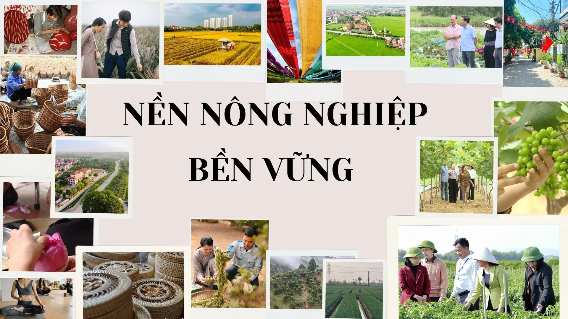 Hà Nội xây dựng nền nông nghiệp bền vững, thông minh và hội nhập