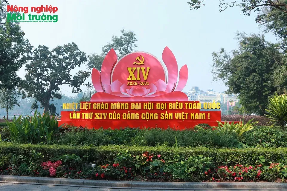 Đảm bảo vệ sinh môi trường phục vụ Đại hội XIV của Đảng