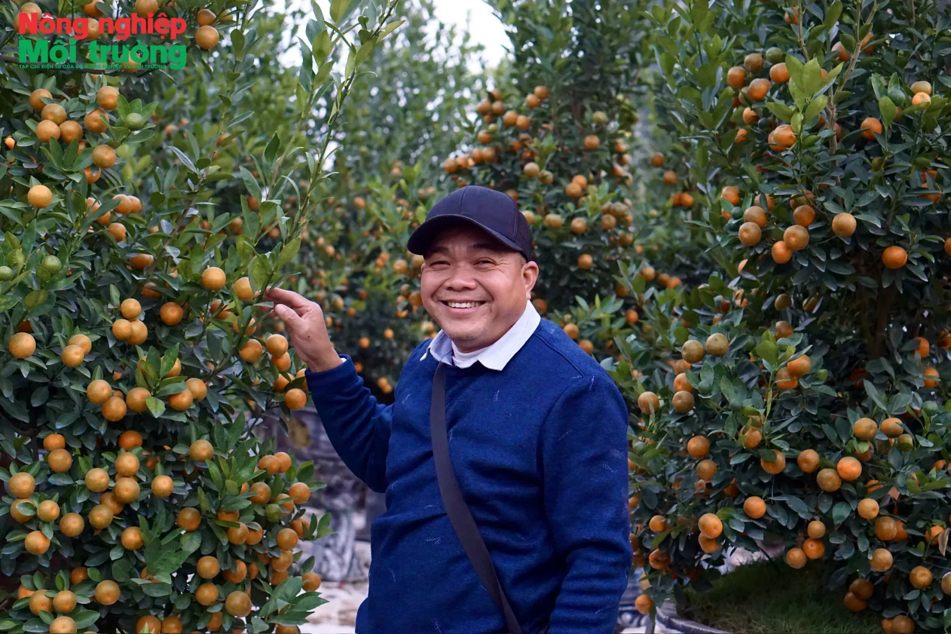 Làng đào Nhật Tân,  quất Tứ Liên nhộn nhịp cận Tết Nguyên đán