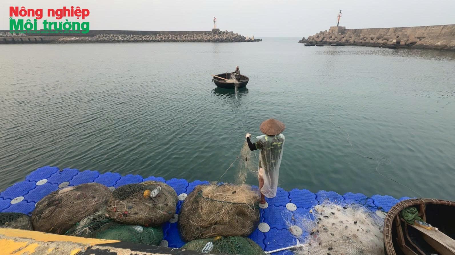 Kỳ 2: Giữ lấy màu xanh, cách Cồn Cỏ chọn để phát triển