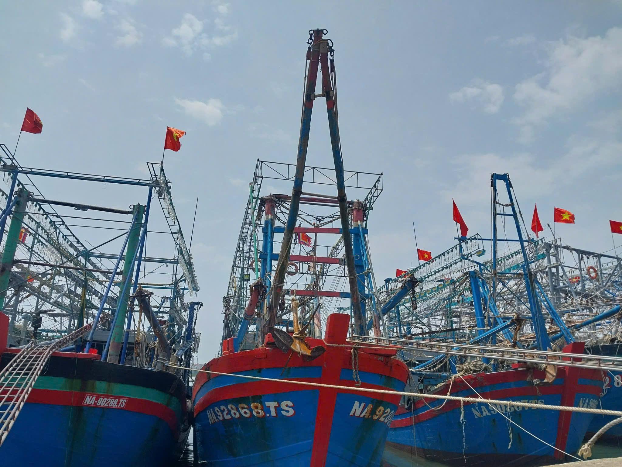iuu2_1760410253.jpg
