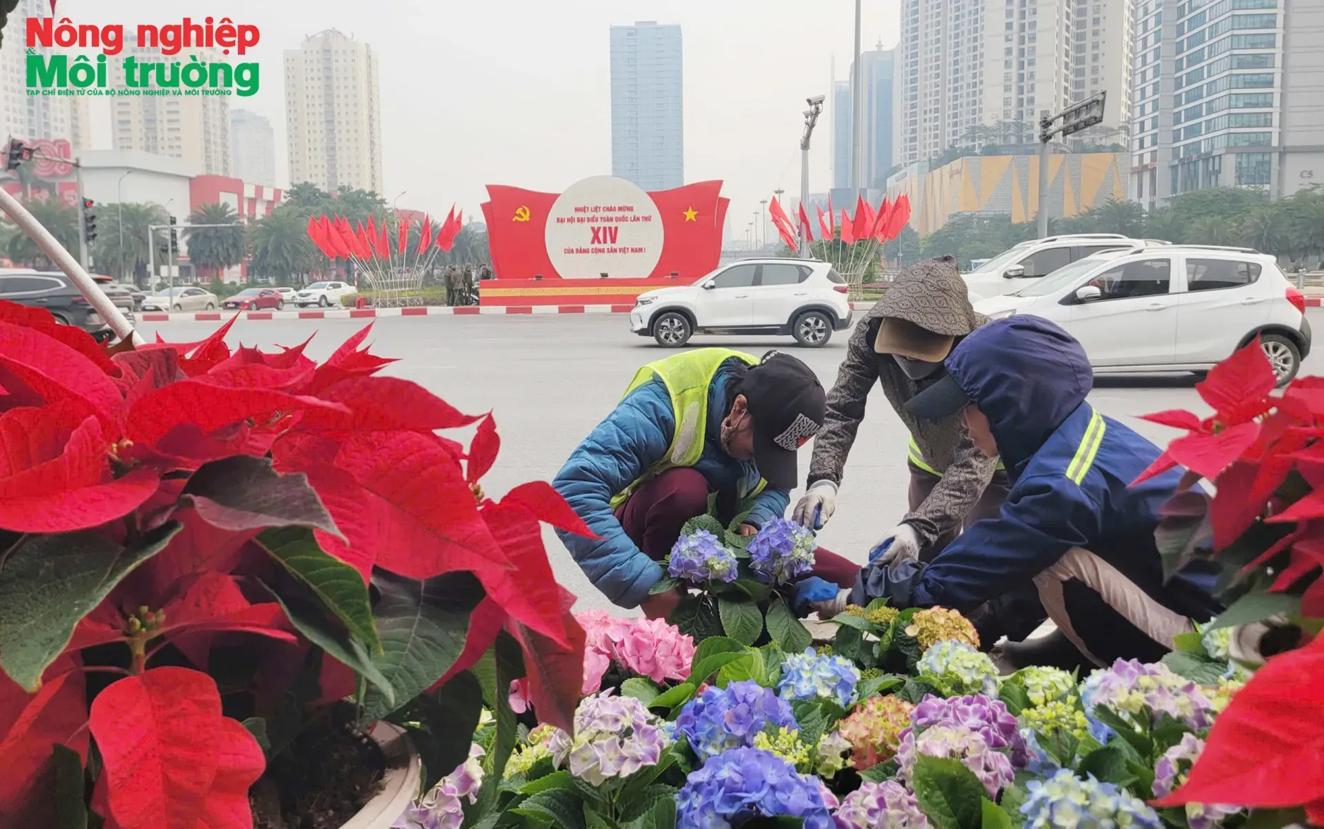 Gấp rút trang trí hoa, cây cảnh chào mừng Đại hội đại biểu toàn quốc lần thứ XIV của Đảng