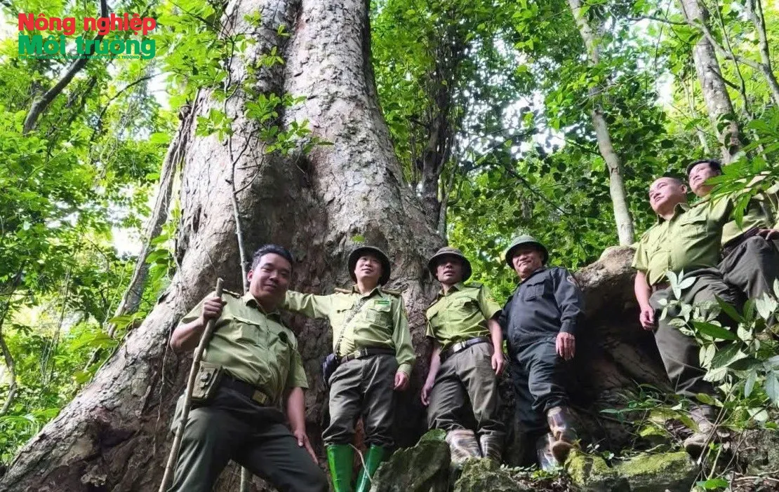 Bài 10: Kiểm lâm khu vực VI, tỉnh Tuyên Quang - Khi người dân trở thành “tai mắt” của rừng