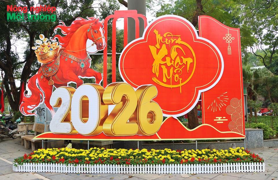 Phường Hà Đông rực rỡ cờ hoa đón Xuân Bính Ngọ 2026