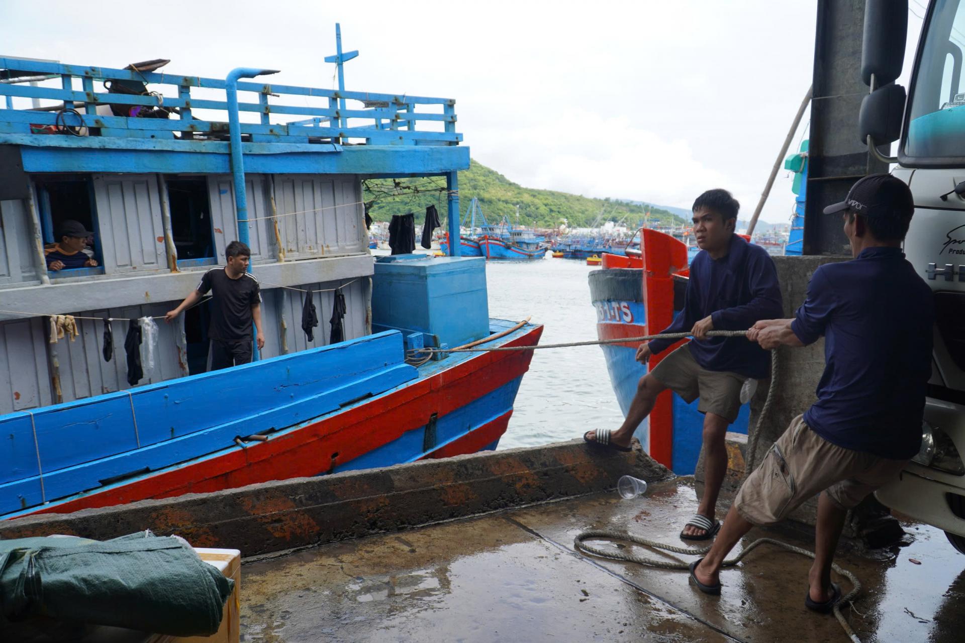 tau-ca-khanh-hoa_1778805716.jpg
