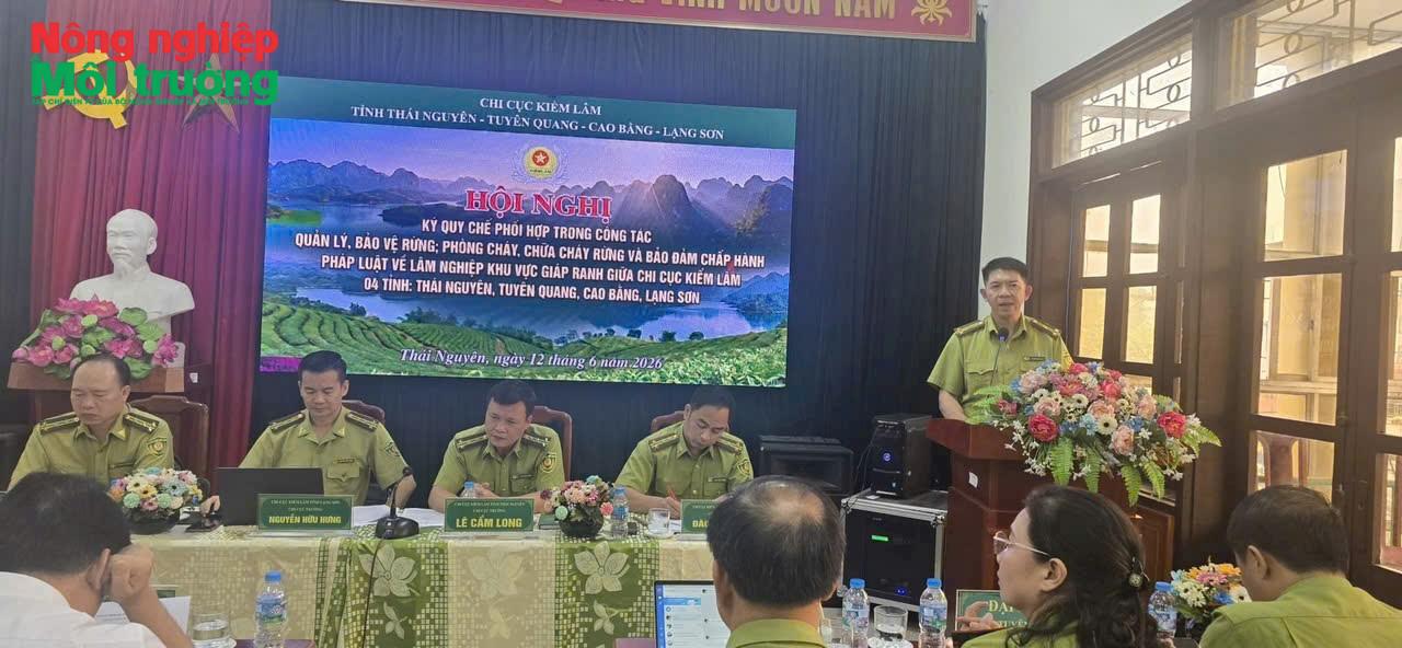 anh-3---ong-ha_1781510534.jpg