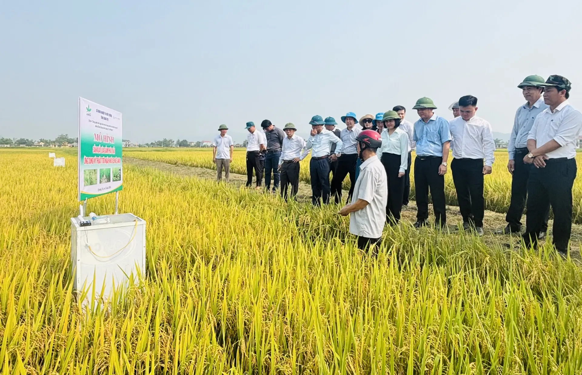 Mở khóa thị trường các-bon Việt Nam