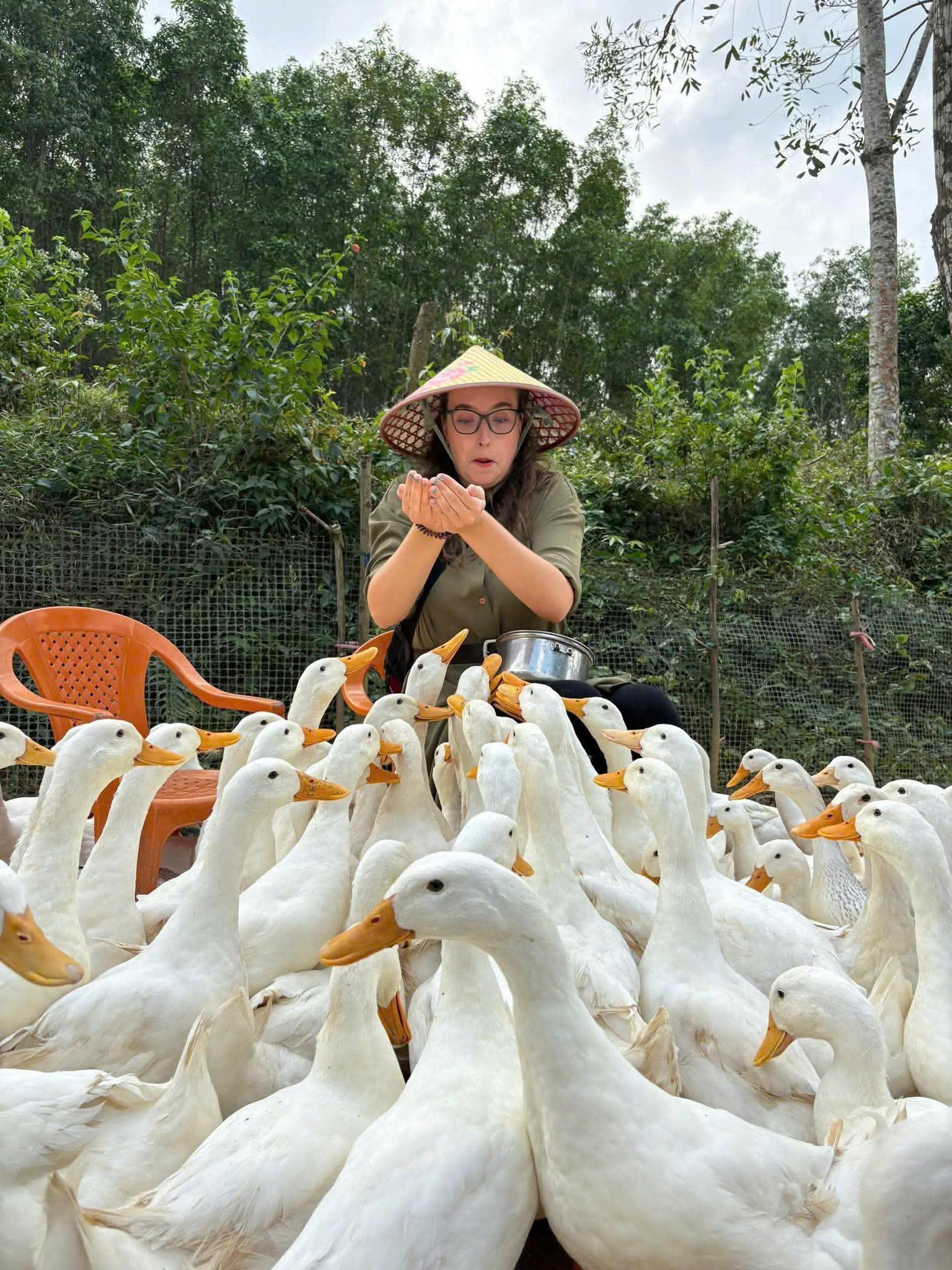 chenh-5_1789445997.jpg