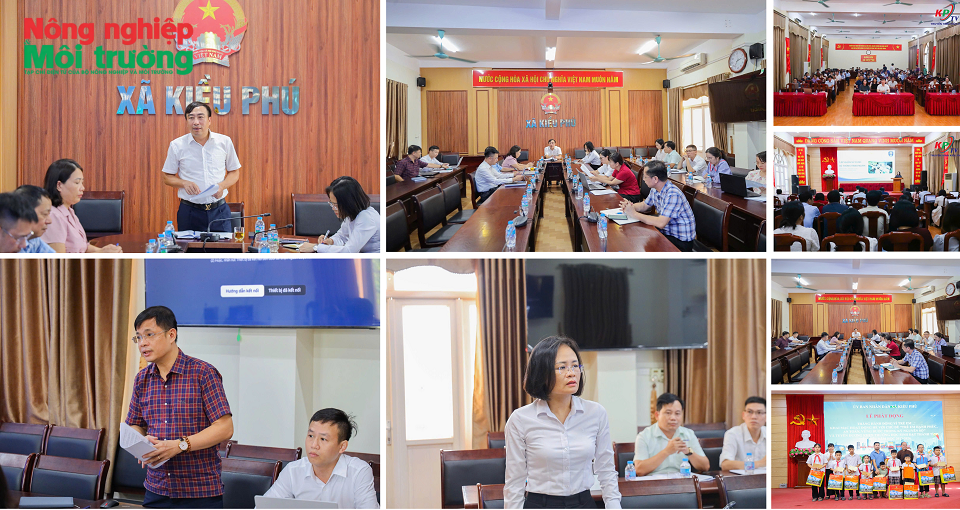 kieu-phu-2_1789456797.png