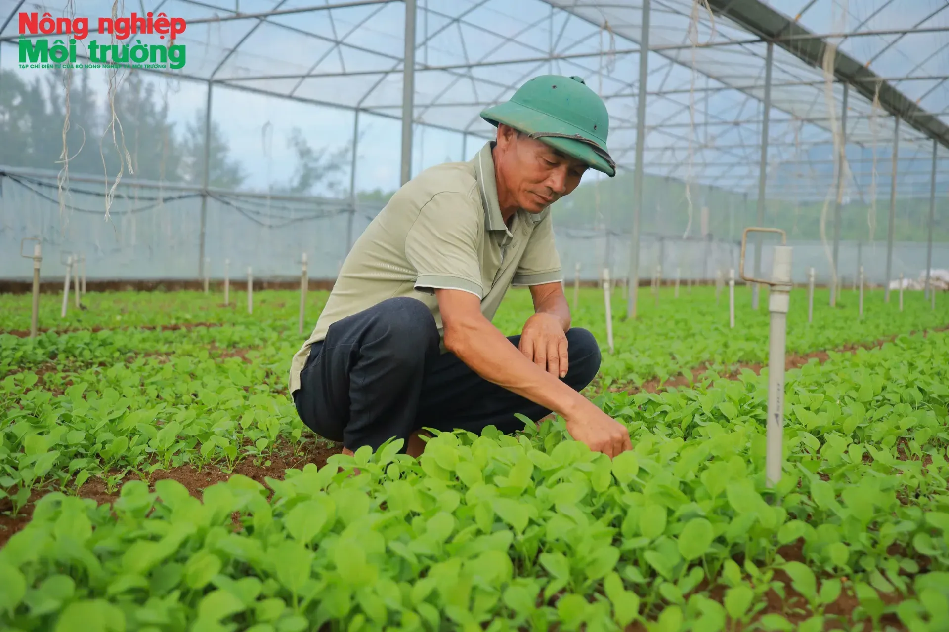 Nghệ An phấn đấu toàn tỉnh có ít nhất 150 hợp tác xã ứng dụng công nghệ cao