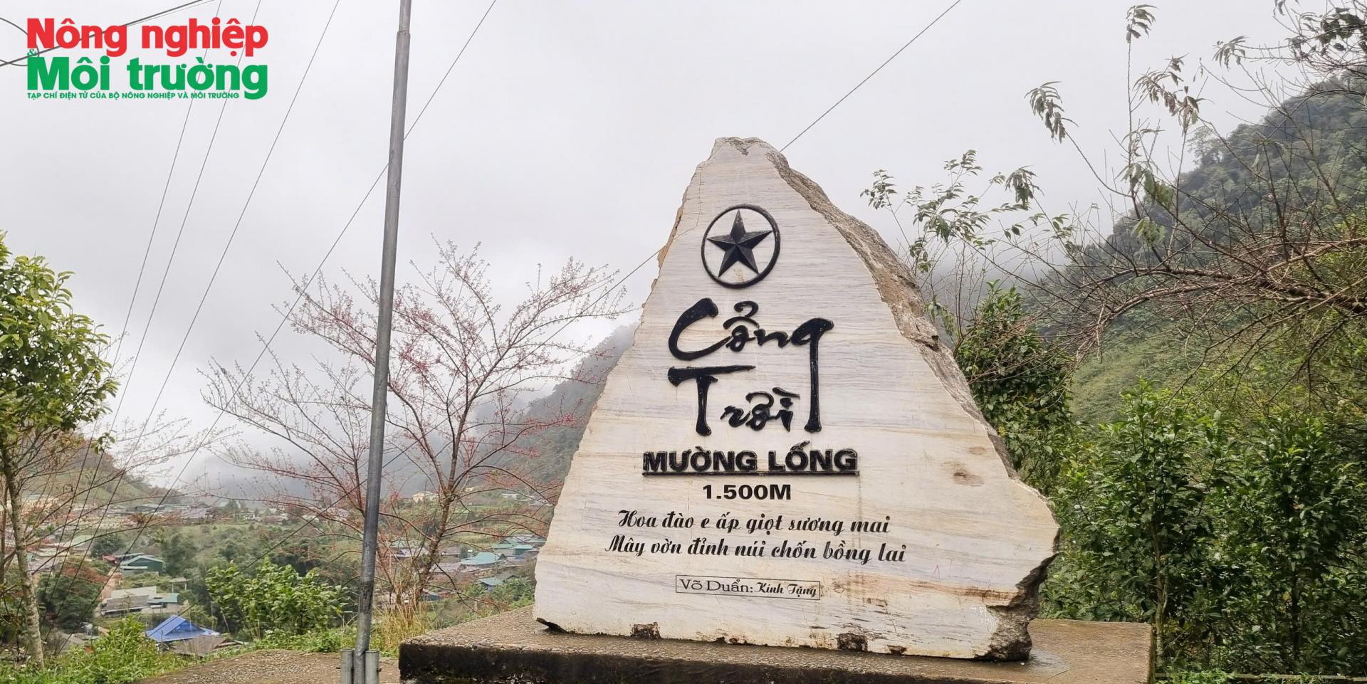 ngua-muong-long1_1771234950.jpg