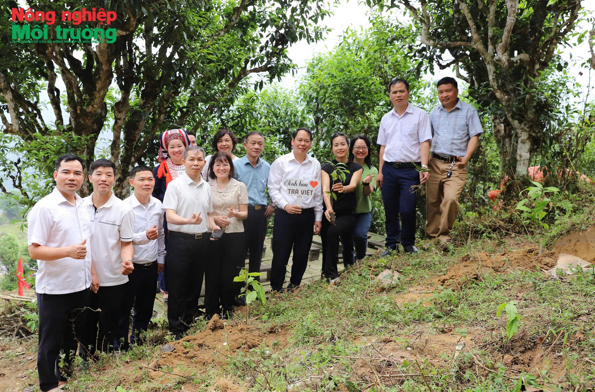 Lễ phát động trồng dặm cây chè Shan tuyết cổ thụ năm 2026 tại xã Hồ Thầu