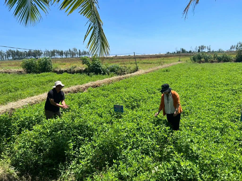 Tận dụng phụ phẩm trong nông nghiệp, thúc đẩy kinh tế tuần hoàn vùng nhiễm mặn ven biển
