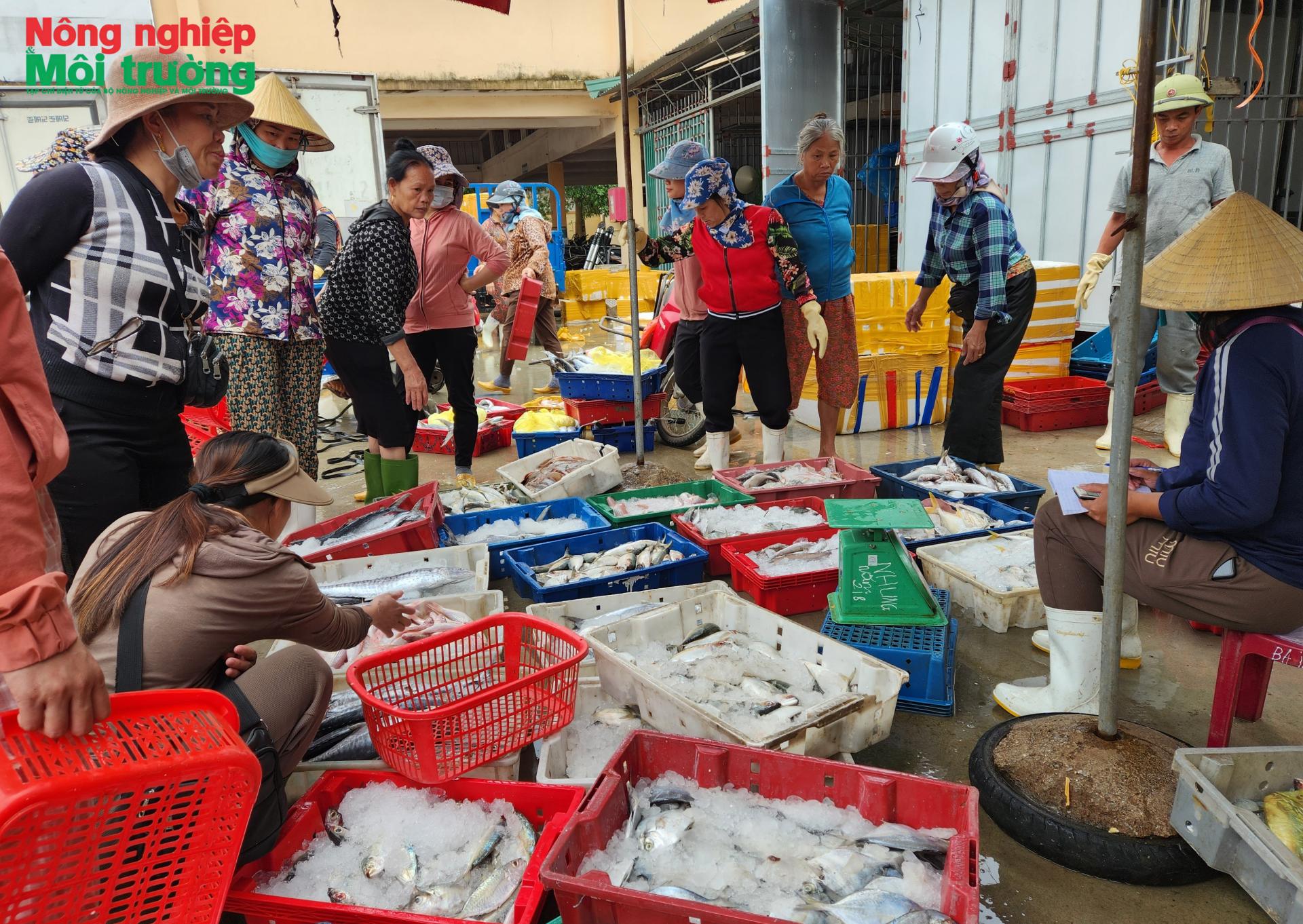 iuu3_1784213429.jpg