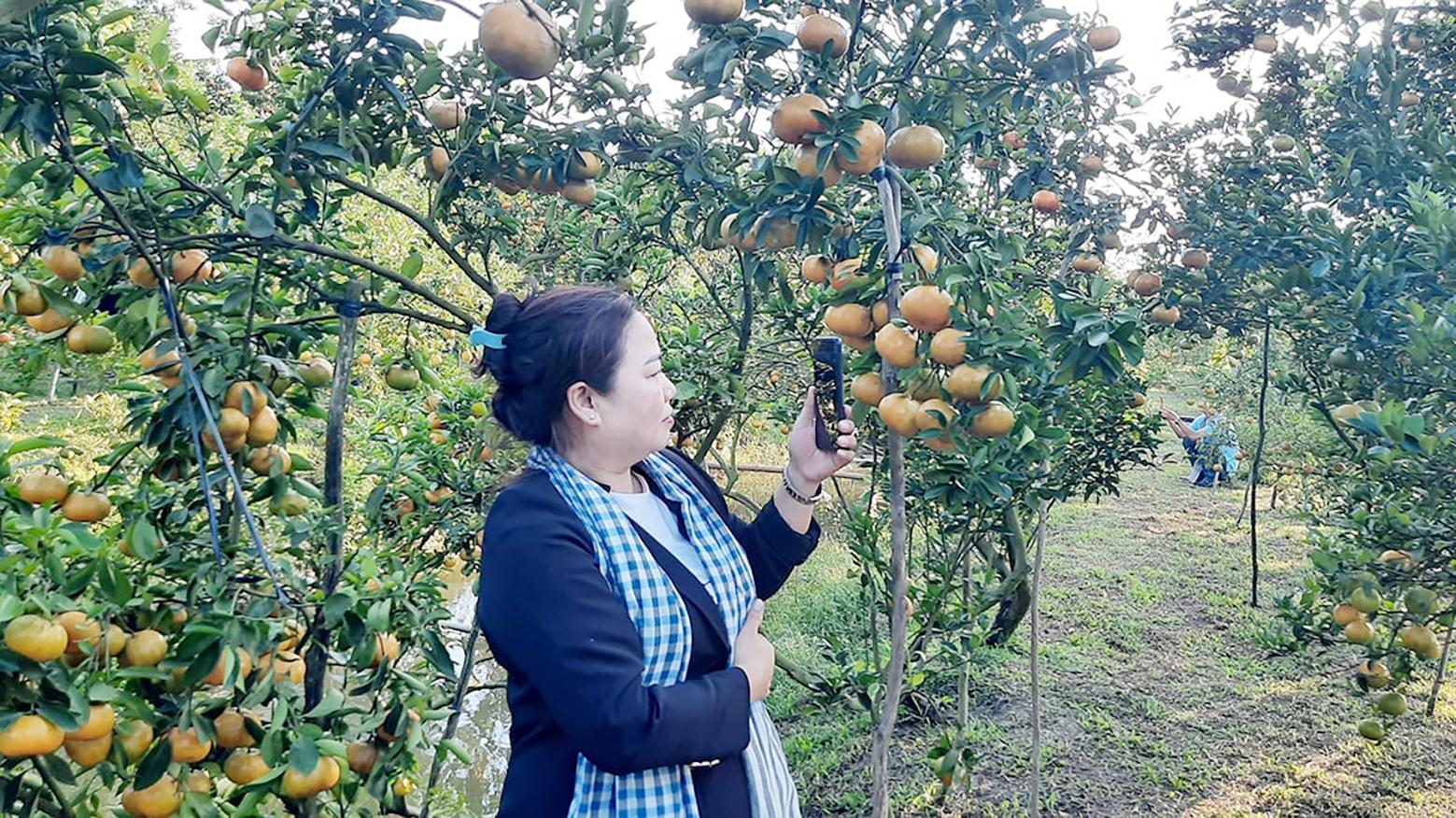 dong-thap-3_1789539135.jpg