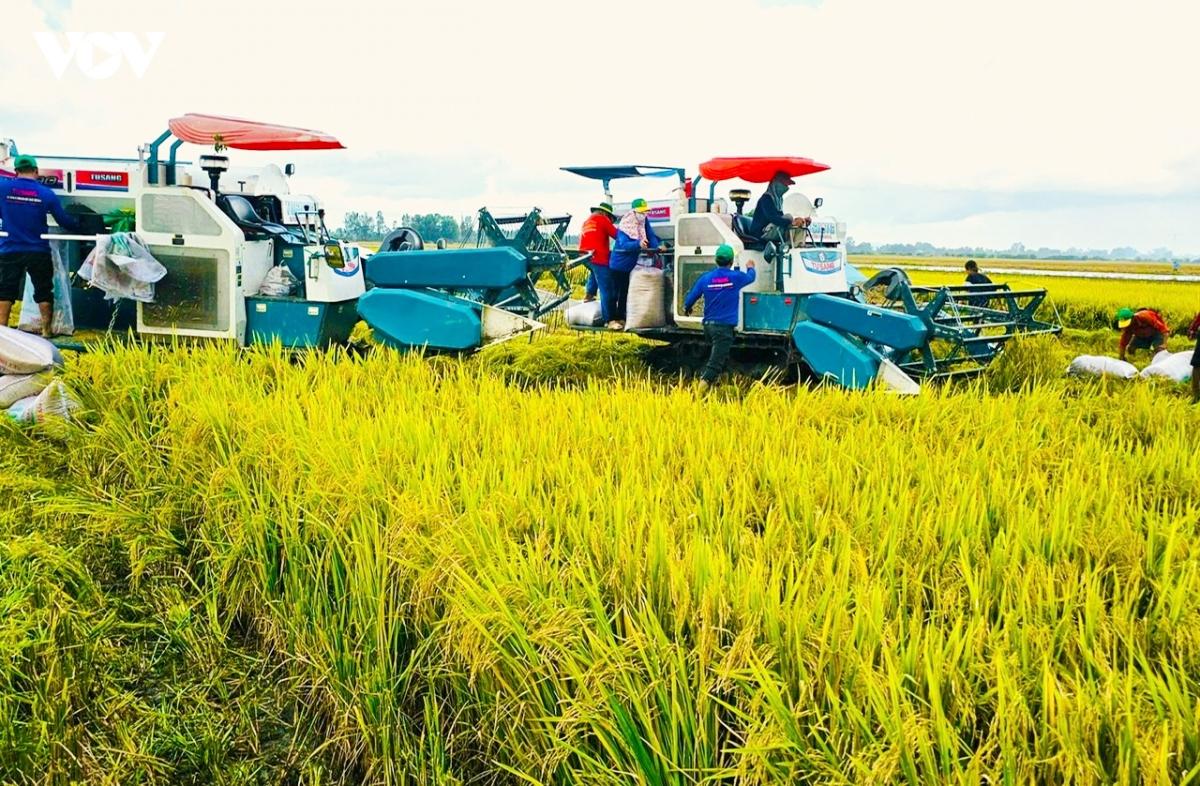 Công nghệ - khởi nguồn năng suất cao cho nông nghiệp Đồng Tháp