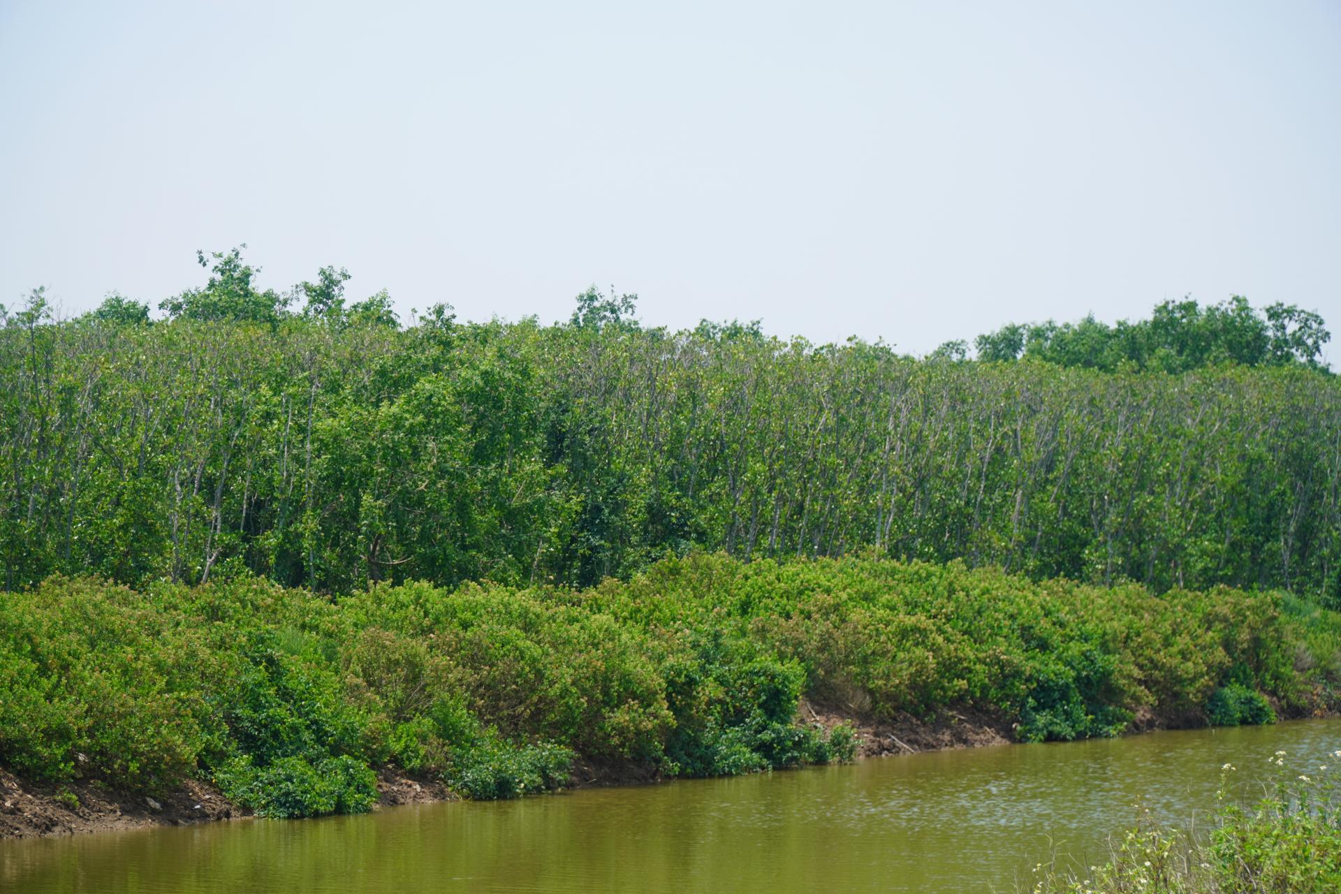 dsc03469_1789549565.jpg