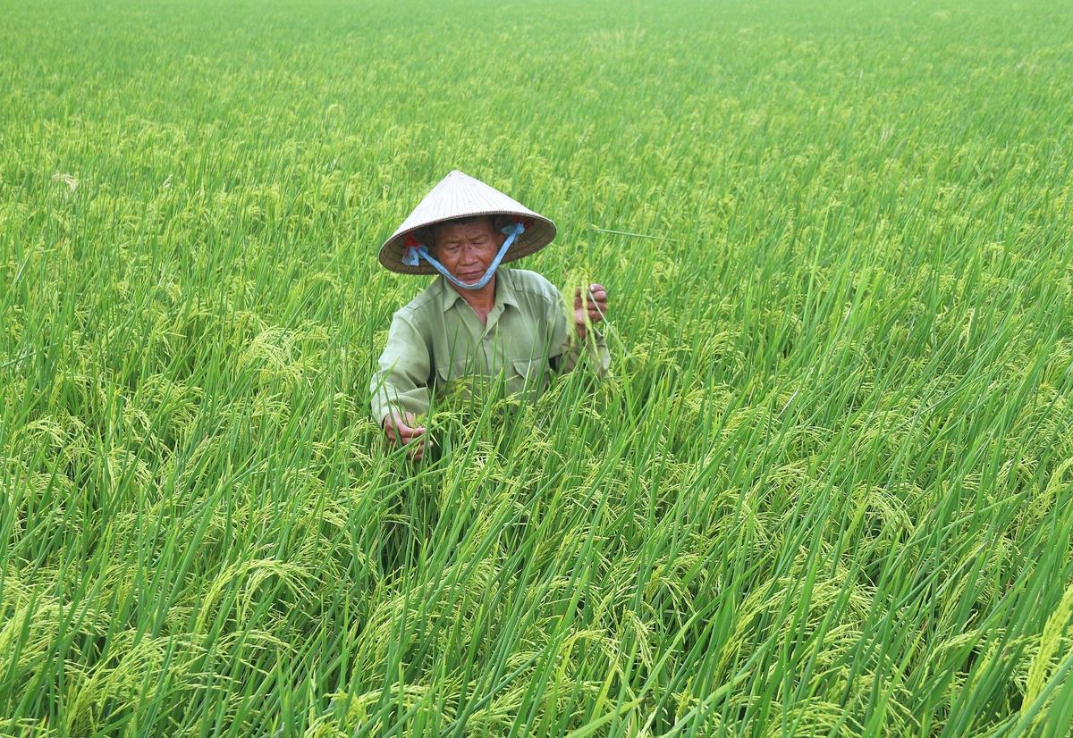 Kỳ 1: Xoá đói giảm nghèo, tài chính bao trùm - Nền tảng cho tăng trưởng không ai bị bỏ lại phía sau