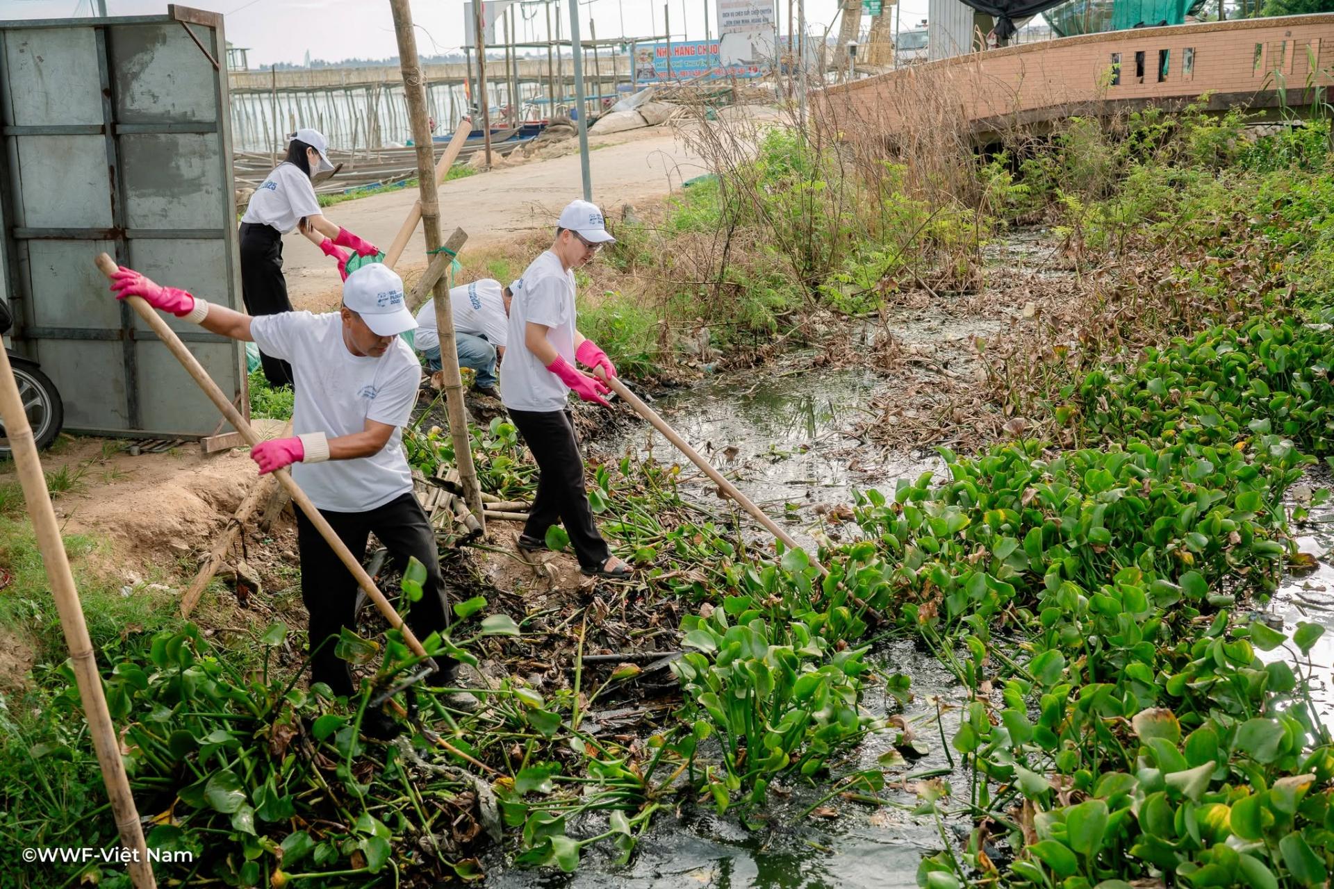 hoat-dong-vot-beo-va-lam-sach-moi-truong-tai-dam-chuon-voi-su-tham-gia-cua-nguoi-dan-dia-phuong_1786879041.jpg