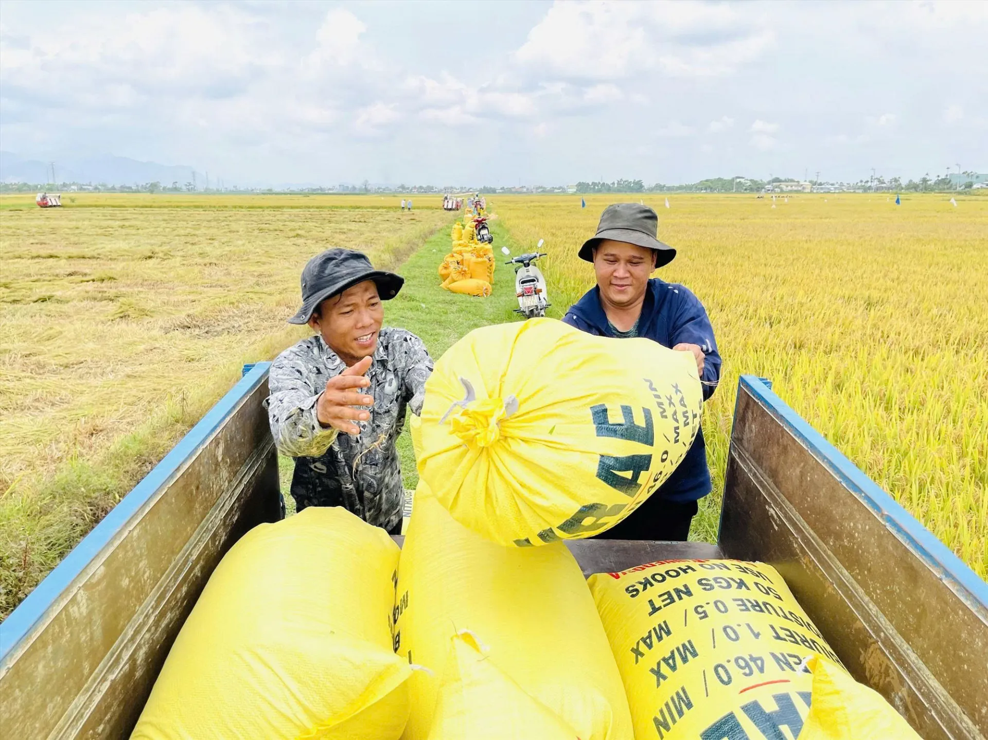 Ngành trồng trọt đạt nhiều thành tựu vượt bậc trong năm 2025