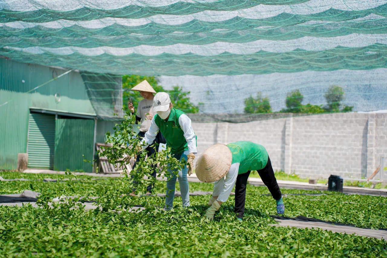 Đẩy mạnh nhiệm vụ khoa học và công nghệ vùng Trung du miền núi phía Bắc: Động lực cho phát triển nhanh và bền vững