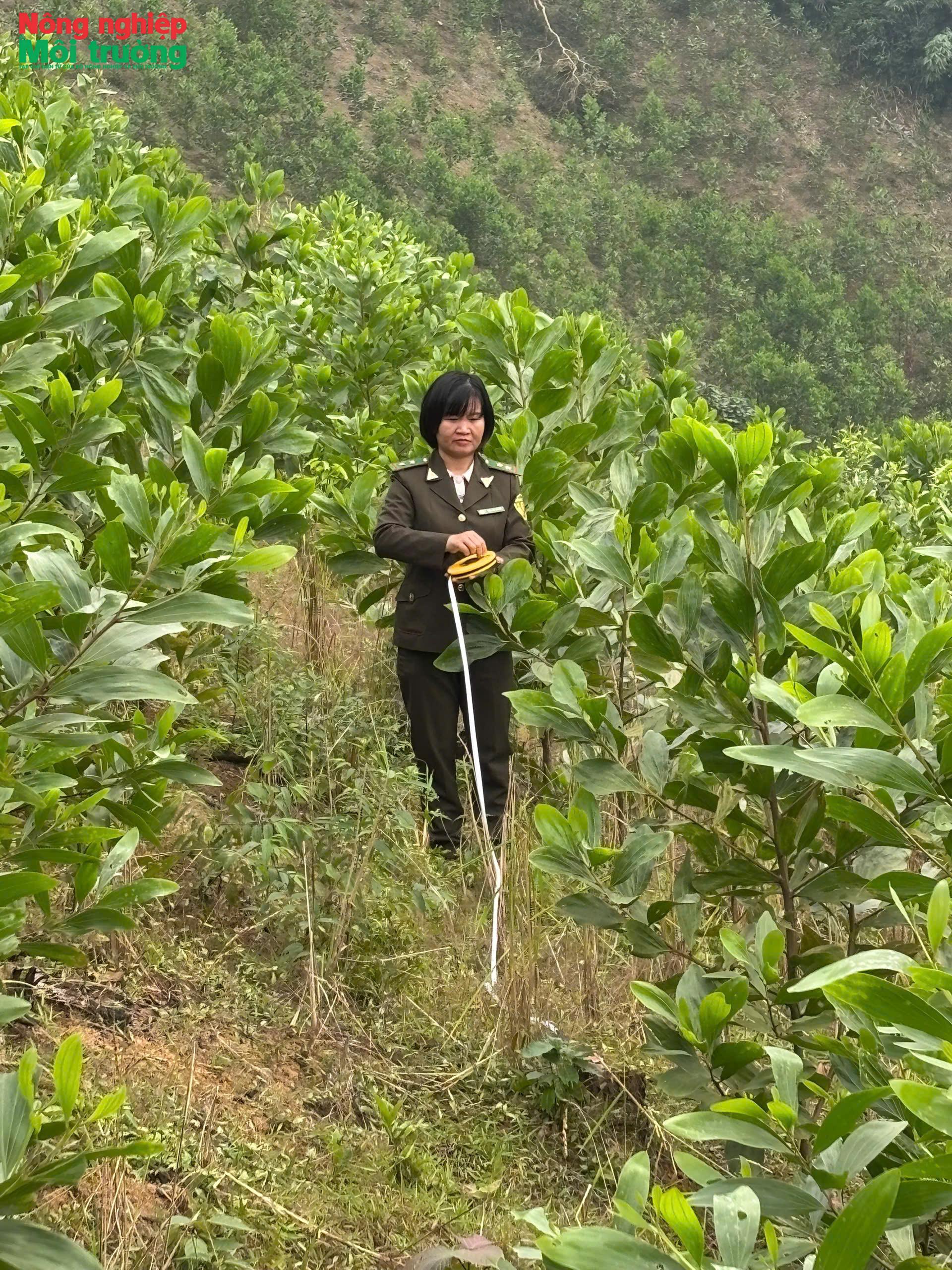 anh-6---kiem-tra-rung-trong_1779012155.jpg