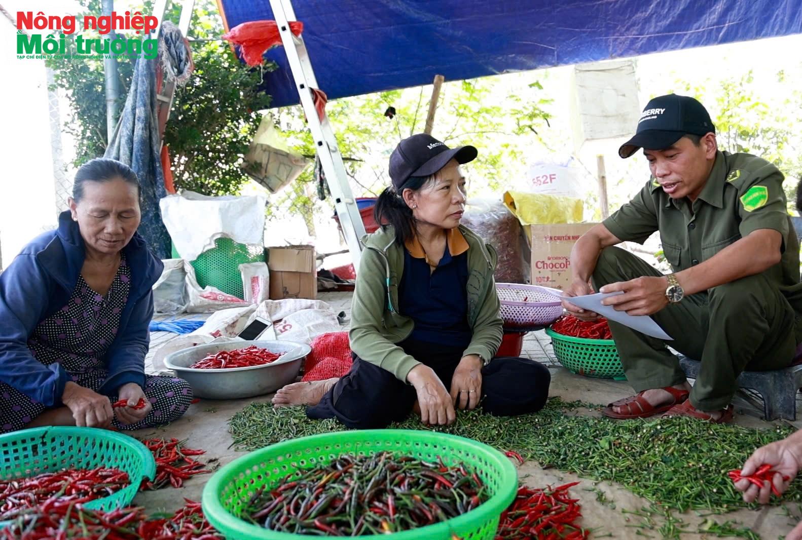 Quảng Ngãi: Sắp xếp thôn, mở rộng không gian phát triển nông thôn mới
