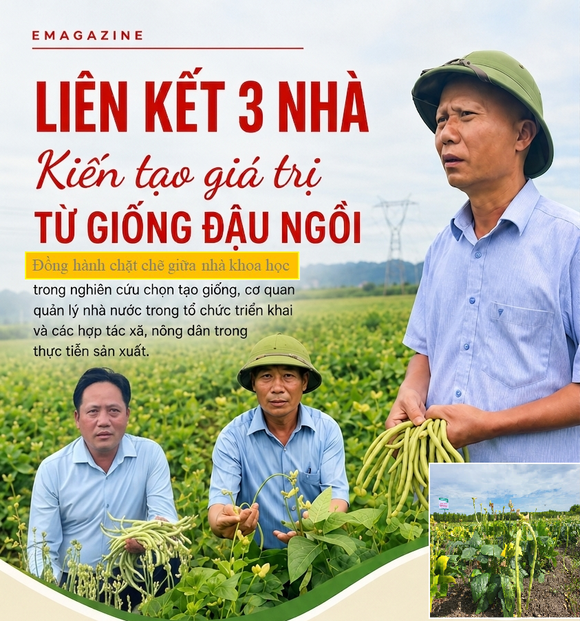 anh-quat-bai-14_1781662437.png