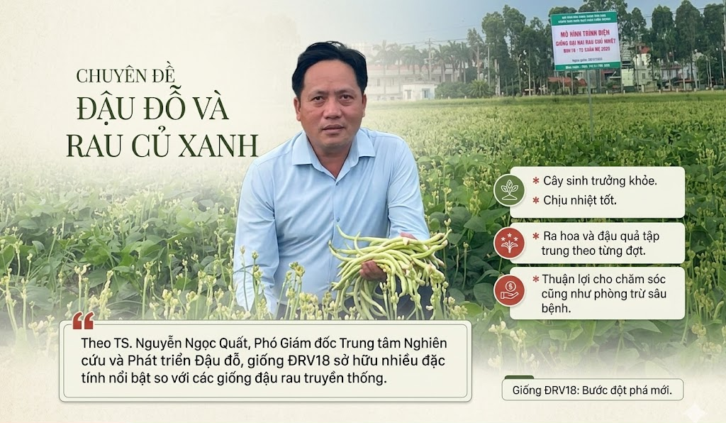 anh-quat-bai-1_1781654696.png