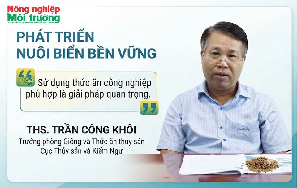 anh-khoi-dd_1789635072.png