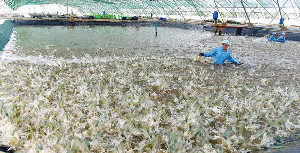 Đoàn kết, sáng tạo, thi đua vì sự phát triển bền vững ngành Thủy sản