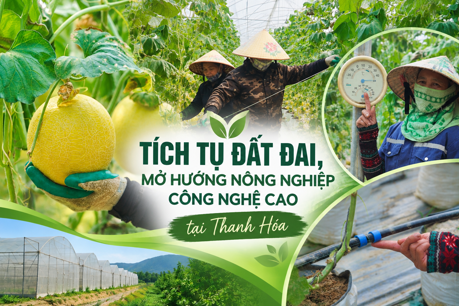 Tích tụ đất đai, mở hướng nông nghiệp công nghệ cao