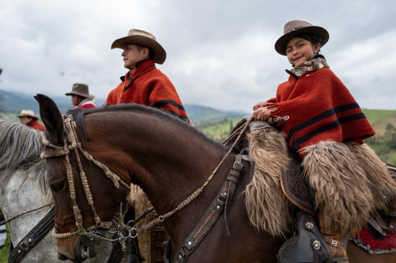 ecuador-horses_1771373051.jpg
