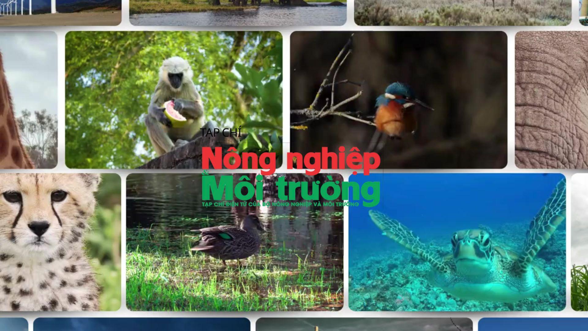 Đấu tranh ngăn chặn vi phạm pháp luật về bảo vệ động vật hoang dã và nguồn lợi thủy sản