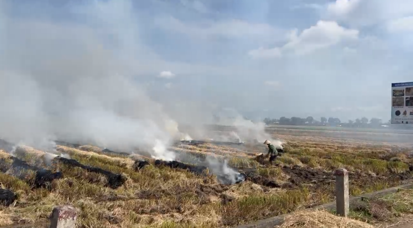 Biến rơm rạ thành tài nguyên, giảm khói bụi cho đồng quê