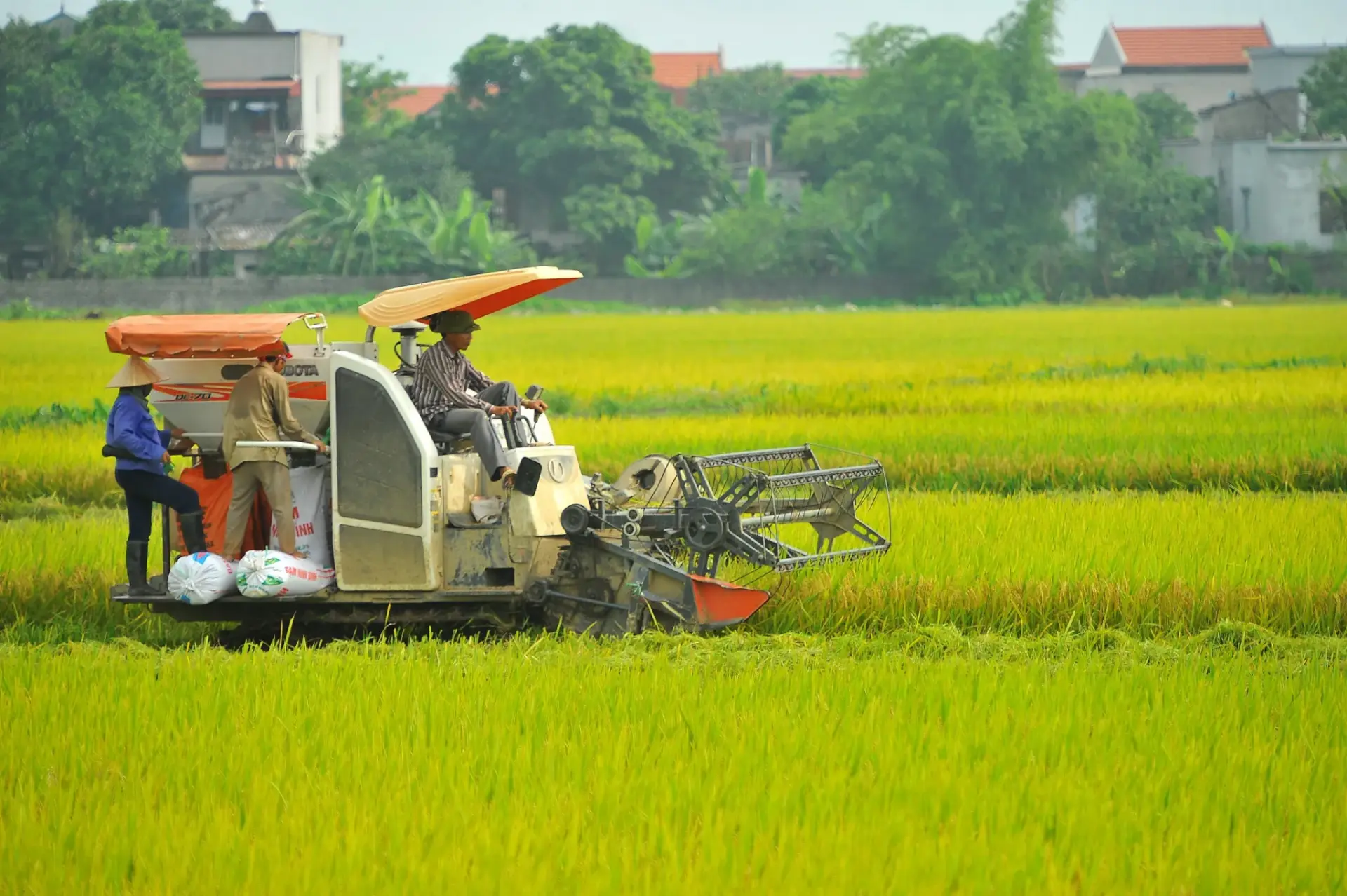 Nghị định số 351/2025/NĐ-CP quy định chuẩn nghèo đa chiều quốc gia giai đoạn 2026-2030, có hiệu lực từ 15/2/2026